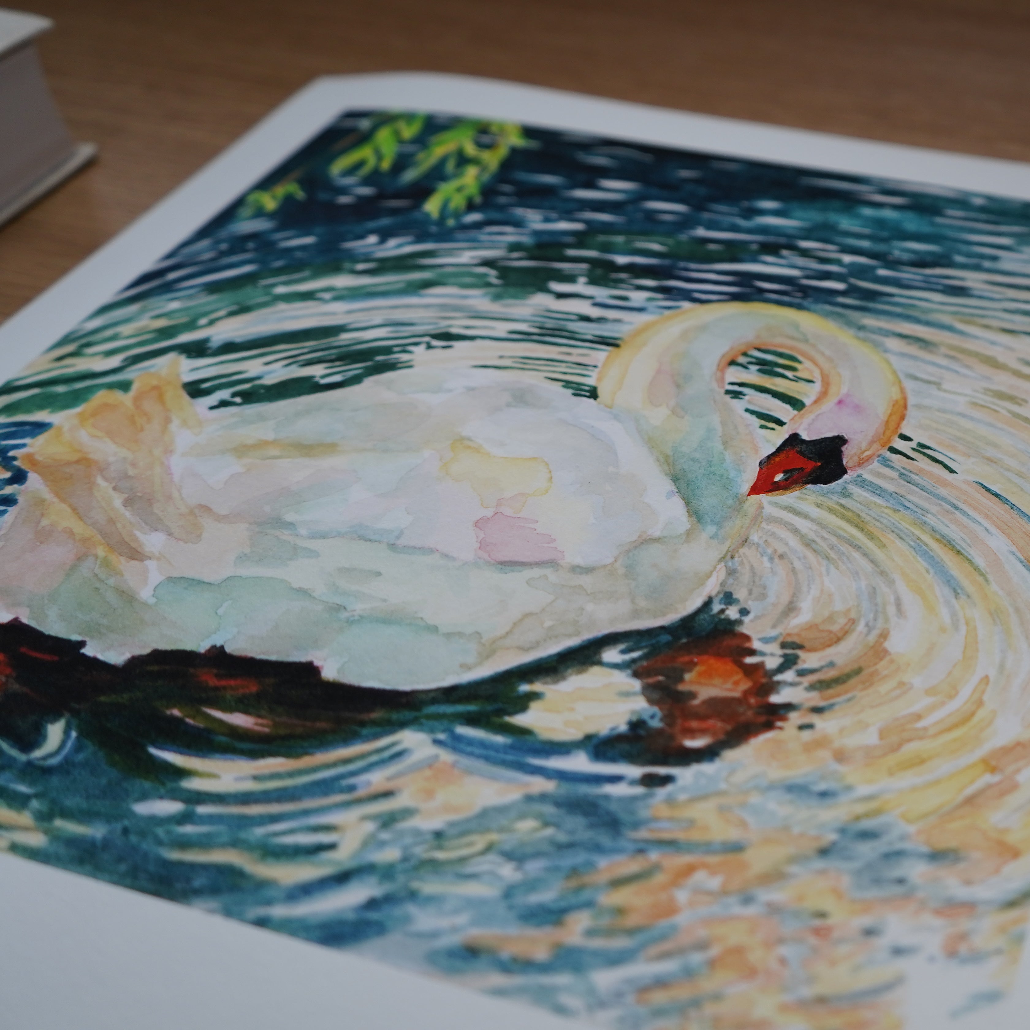The Swan- Limited Edition Print